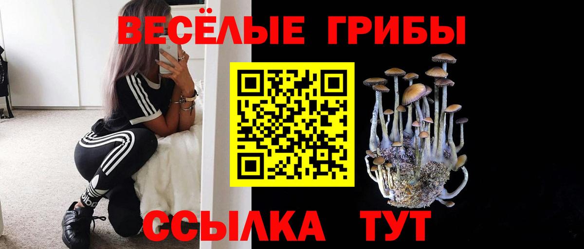 Псилоцибиновые грибы Magic Shrooms Архангельск